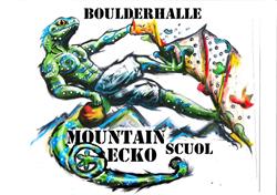 Boulderhalle Mountain Gecko