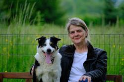 abc-hundeausbildung.ch