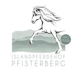 Islandpferdehof Pfisterberg Uster
