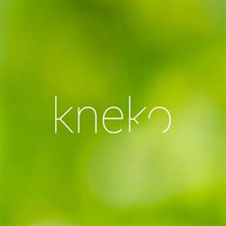 Kneko Insektenschutz- und Sonnenschutzsysteme