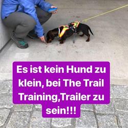 The Trail Training