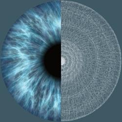 EYEPARC
