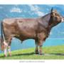 # 3