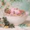 Babyfotografie-1