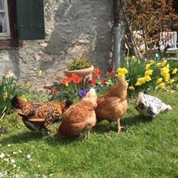 Holiday Apartment 'The Farm' La Tranquille