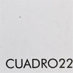 Cuadro22