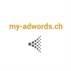 my-adwords.ch - Ledermann Marketing