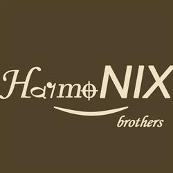 HarmoNix brothers