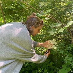 Kinesiologie - Tina Müller