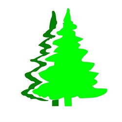 Christbaumverkauf Alpenhof Bülach