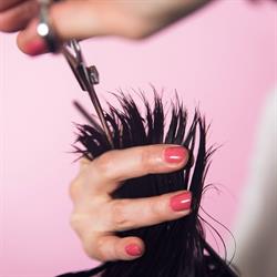 Bühler Hair Cosmetic GmbH