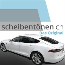 scheibentönen.ch - Das Original seit 29 Jahren!