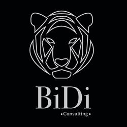 Bidi Swiss Consulting GmbH