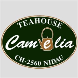 Tea-House Camelia