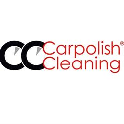Carpolish And Cleaning