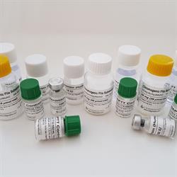 5-Diagnostics AG