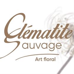 Clématite Sauvage