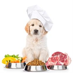 ELIT Hundesalon