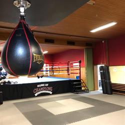 Home of Champions