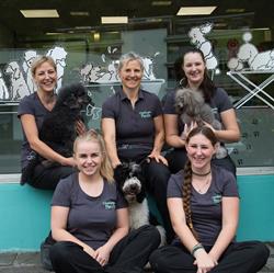 Hundesalon Panda