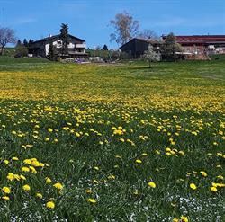 Appenzeller Hof