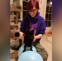 xHundephysio