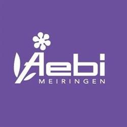 Blumen Aebi