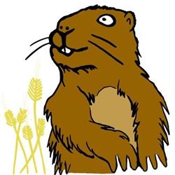 Spezial- und Starkbier Brauerei Marmot Cervisiam GmbH