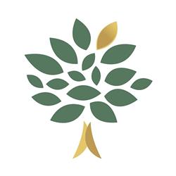 MANSARA Management AG