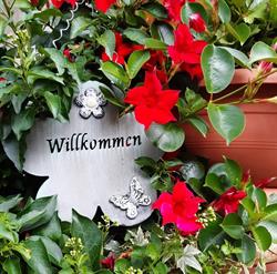 Chalet Burgstein