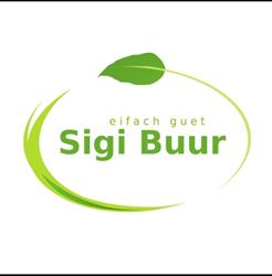 Sigi Buur