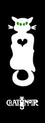 Chat Noir
