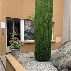 L'Atelier d'Emilie