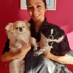 Da Camilla, salone per cani