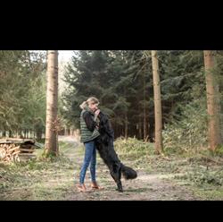 Mit Hand und Herz Hundephysiotherapie & Hundeosteopathie Ricciardi