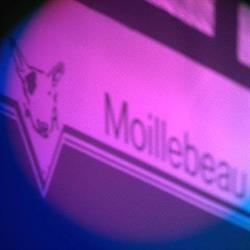 Cabinet Vétérinaire Moillebeau