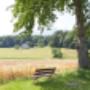 Betagten
Betagten- und Pflegeheim Niesenblick AG