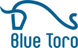 Blue Toro Bautenschutz AG