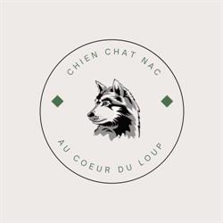 Au coeur du Loup