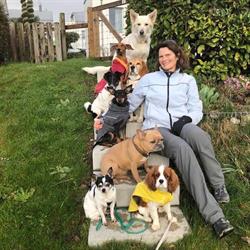 Dogsitting Thomet