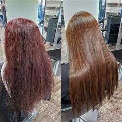 Anteprima Montagnani SA