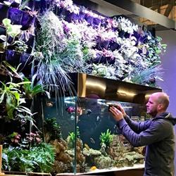 Aquarium-Bassin SARL