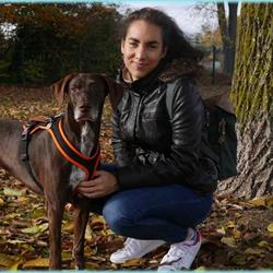 Hundeschule Luna