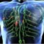 man. Lymphdrainage (Krankenkasse anerkannt) Methode Nr. 111