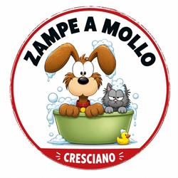 Zampe a Mollo
