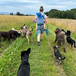 Hundehort und Hundesalon Bonnie&Clyde Thurgau