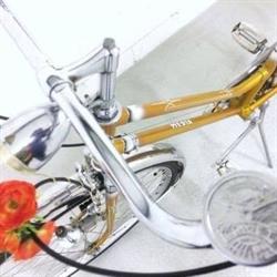 Charming Bike