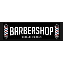 Coiffeur Dilo