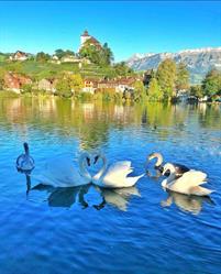 Galerie am See