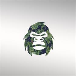 Jungle Club - Lugano
